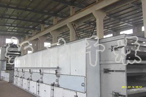 DWT系列脫水蔬菜干燥機(jī)